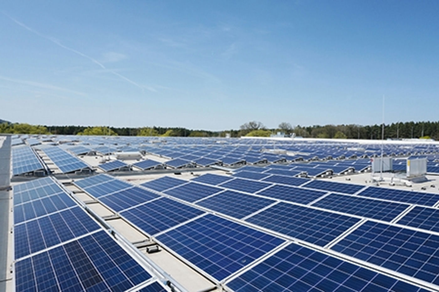 Cuatro plantas solares, propiedad de The Renewables Infrastructure Group (TRIG) y operadas por Statkraft en Cádiz, reciben el Sello de Excelencia en Sostenibilidad UNEF