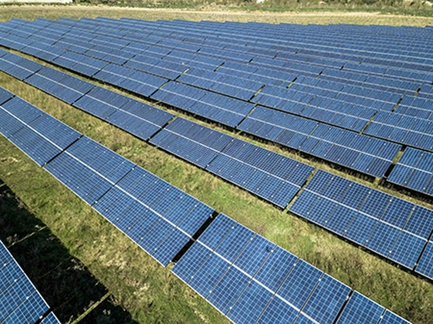 ¿Qué debes saber antes de adquirir una placa solar?